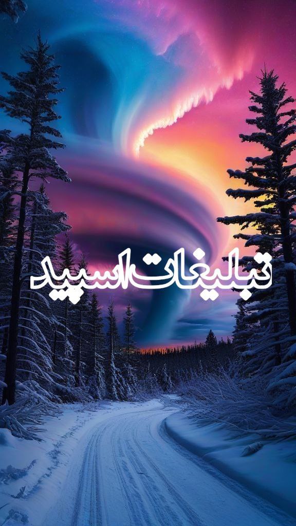 وایلد ولف (241)