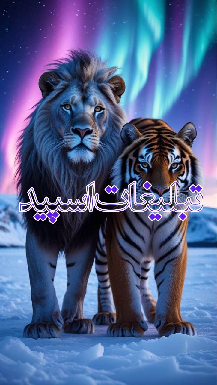 🤍•.• 𝗠𝗬 𝗚𝗥𝗔𝗬 𝗟𝗔𝗡𝗗•.•🤍 (2)