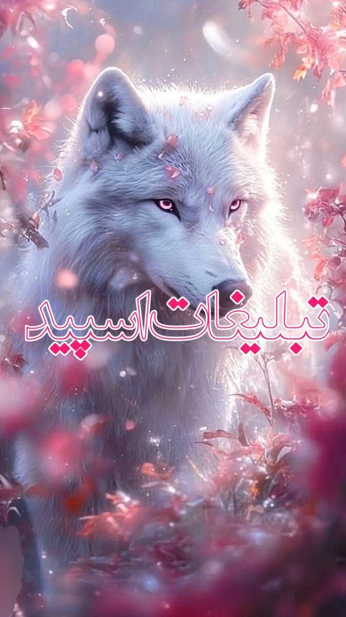 دوستان لاکچری (7)