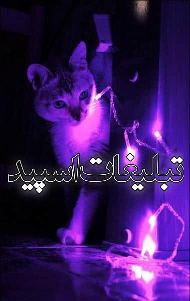 همدان نایت 🌹