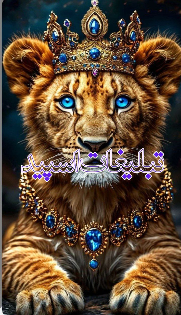 دورهمی (22)