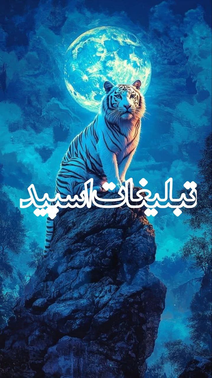 بامرام ها❤️