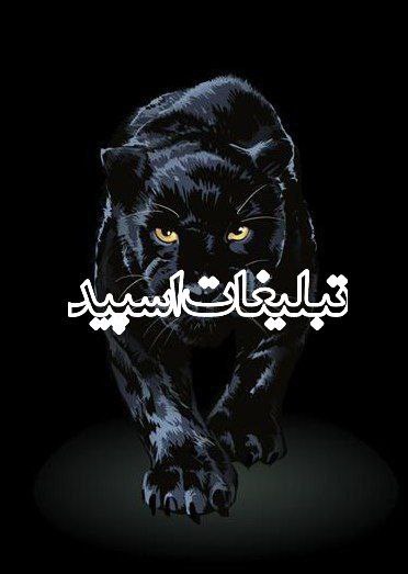 کافه دورهمی