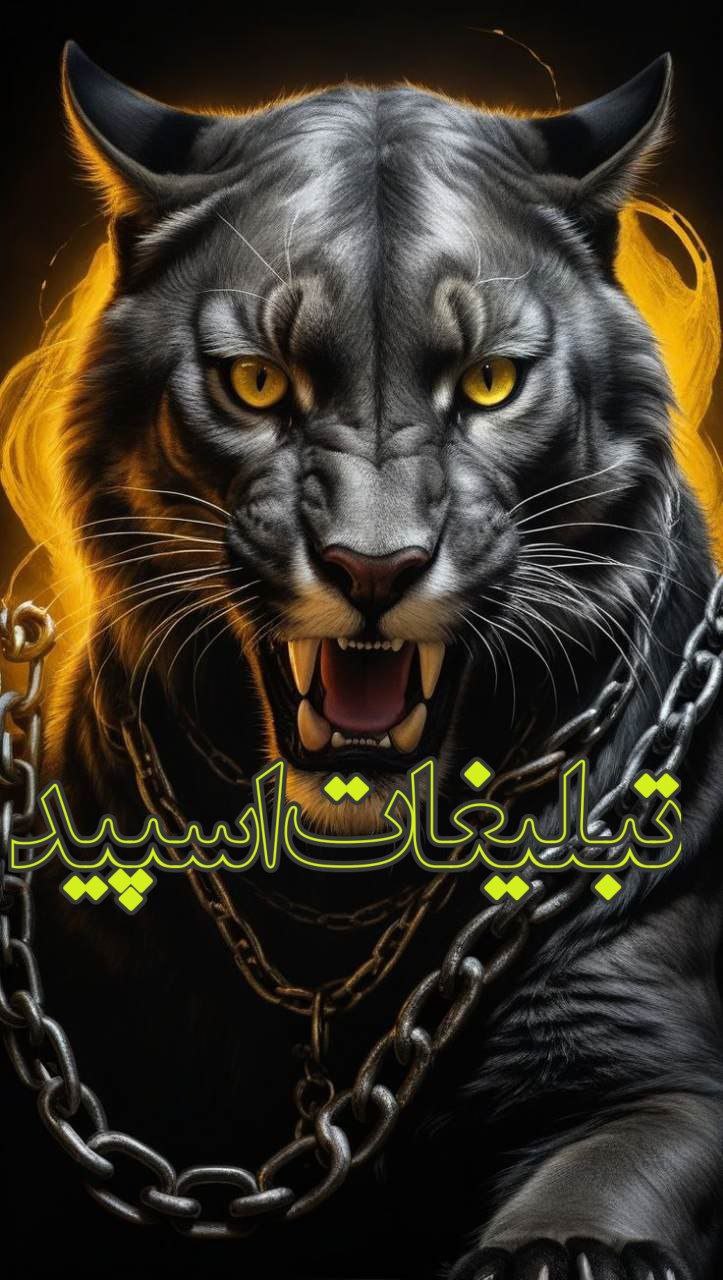 تبلیغات