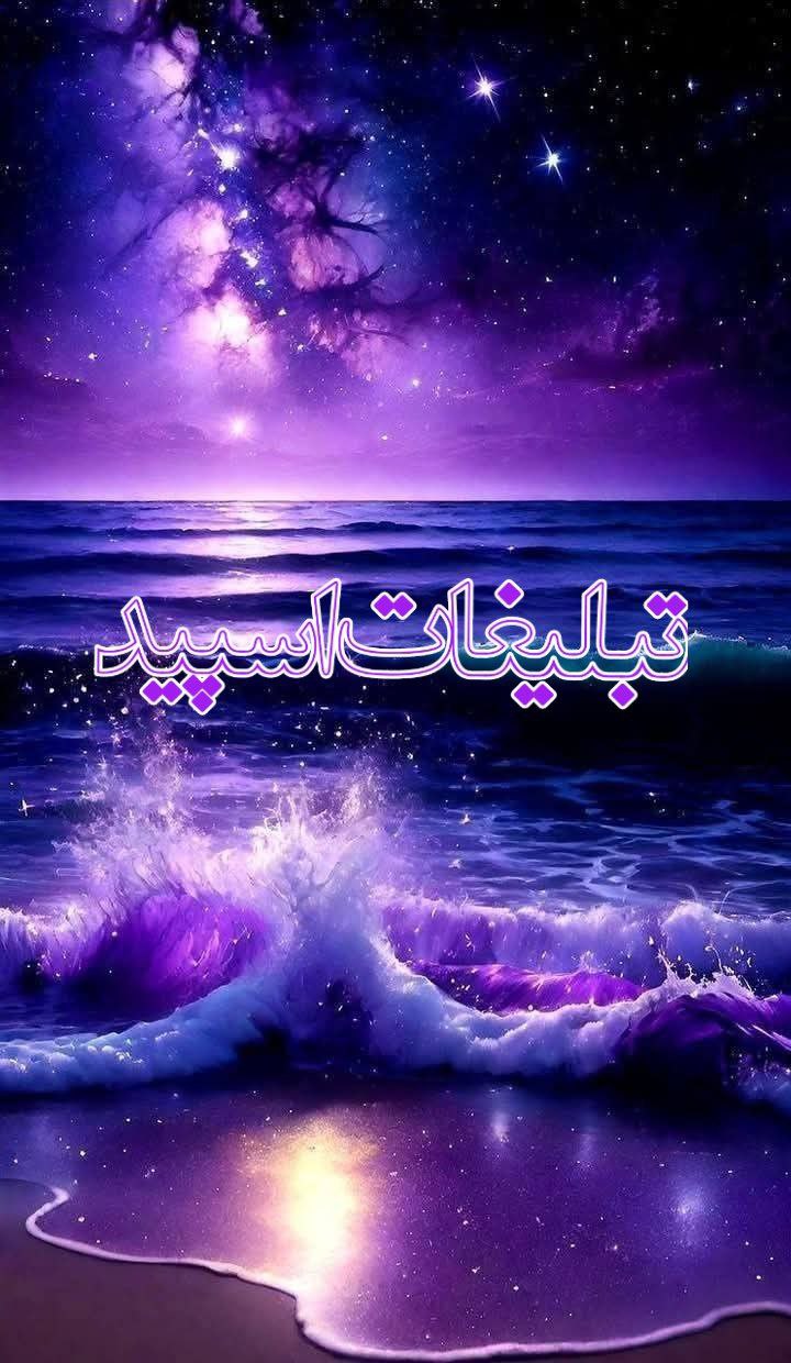 وایلدولف (6)