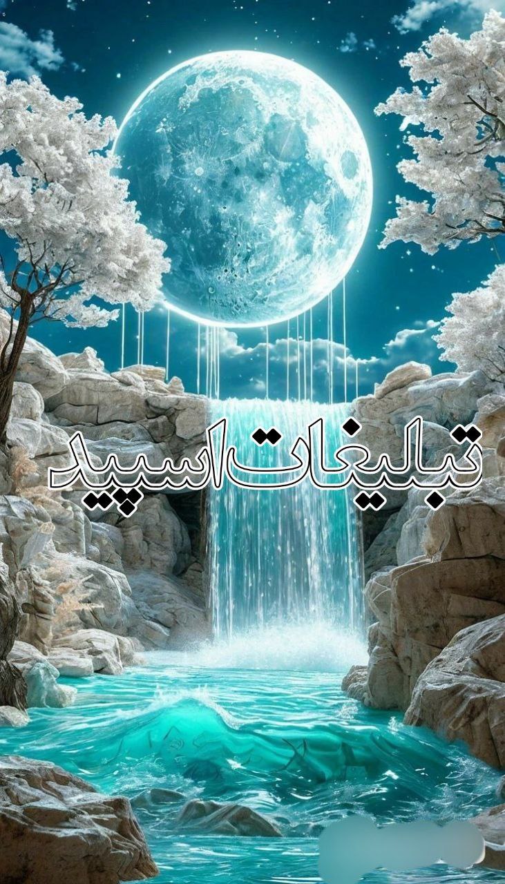 وایلد ولف (245)