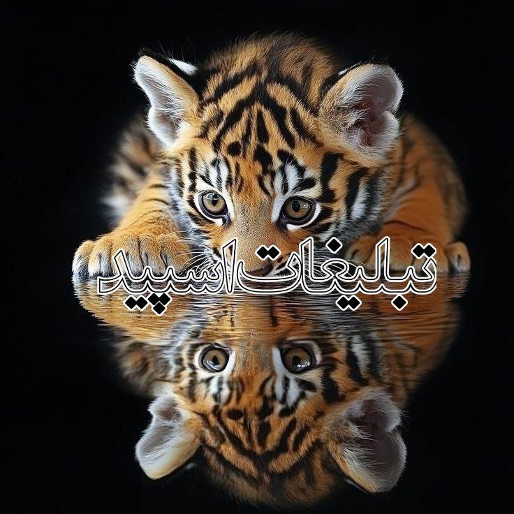 عاشقان خاص