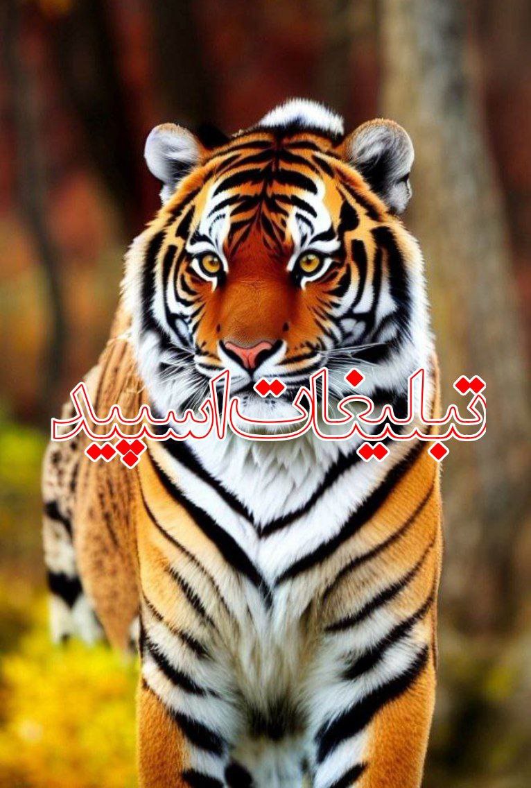 🌹با جنبه های مجازی🌹