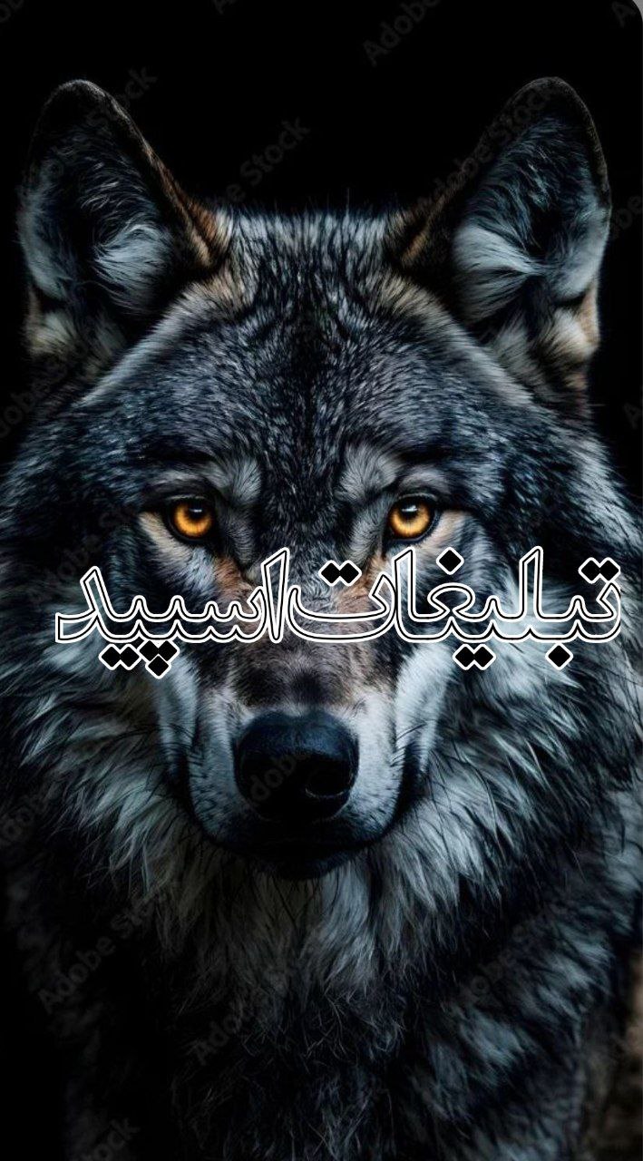 گروه چت گیلان شمال بلامیسرا (2)