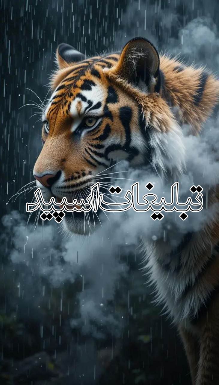 آتشکده لاکچری (3)