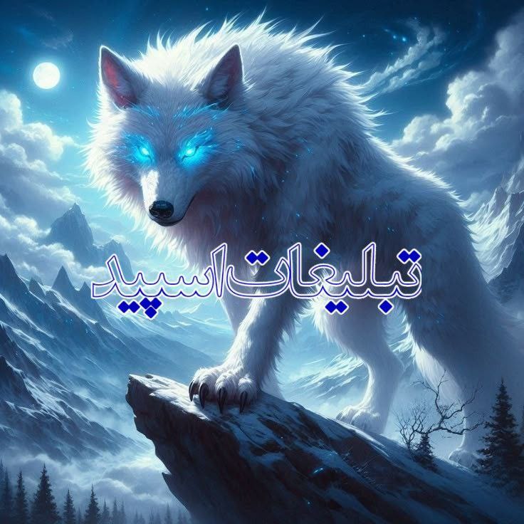 گپ لاکچری قلب ها❣ (3)