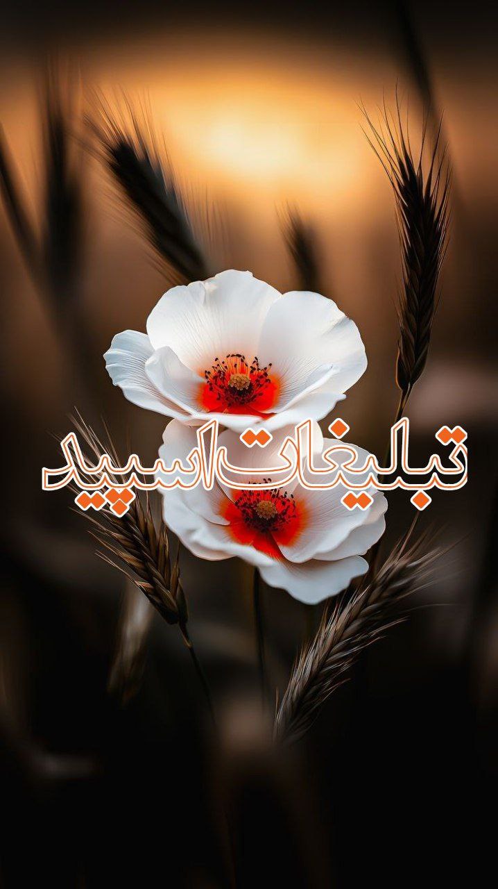 ➛ᷝ↳‌‌⚡️▹உ𝐌𝐈𝐓𝐈𝐍𝐆 𝐃𝐎𝐒𝐓𝐀𝐍𝐄𝐇.ᷟ‌.