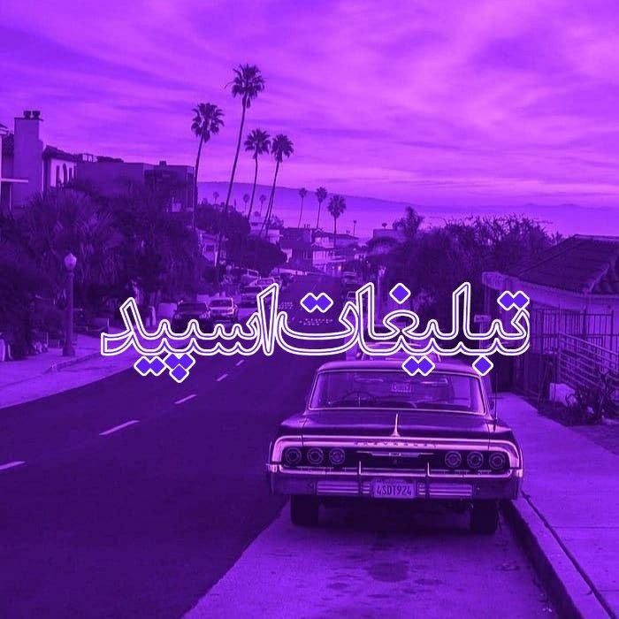 وایلد ولف (5)