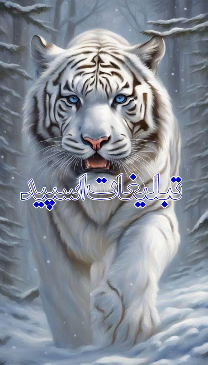 دورهمی لاکچری (1)