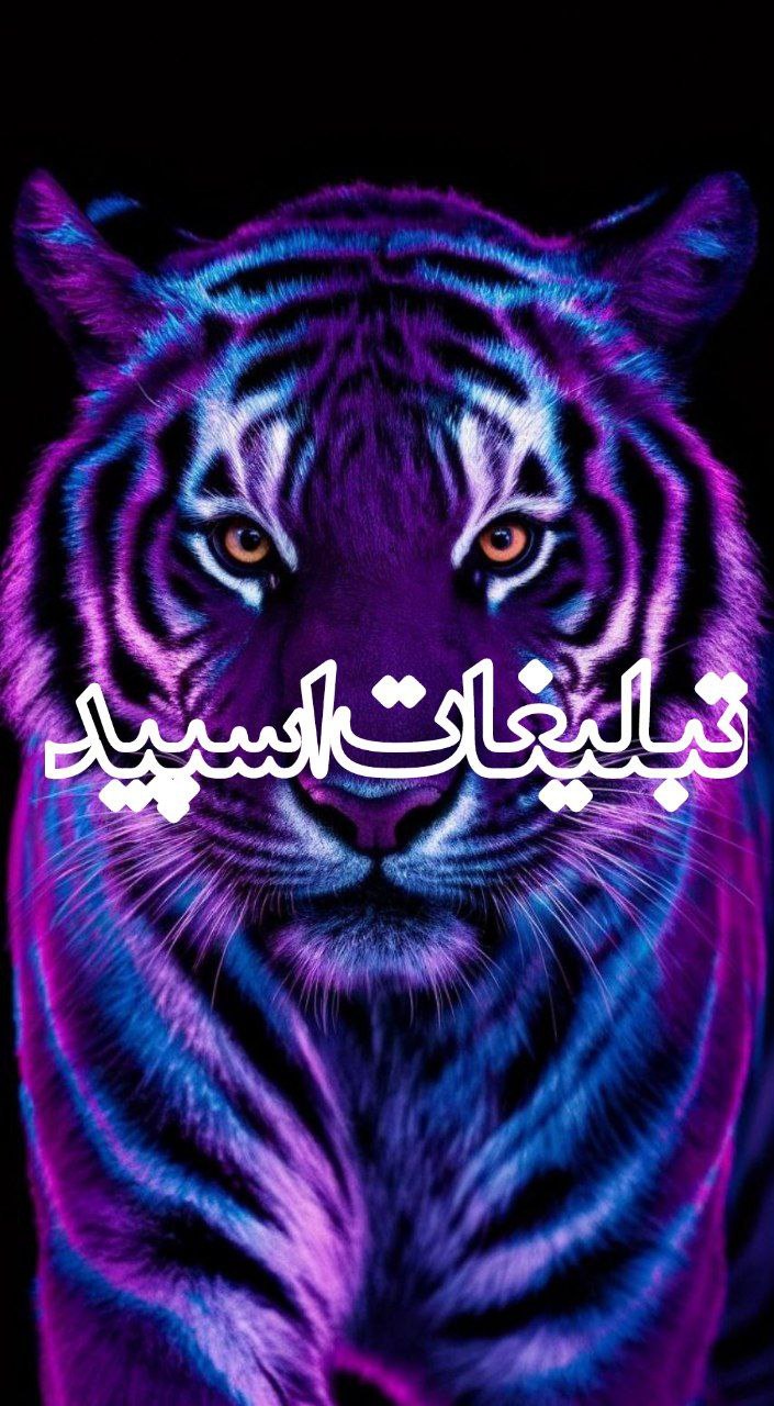 𝐓𝐄𝐇𝐑𝐀𝐍 𝐂𝐈𝐓𝐘