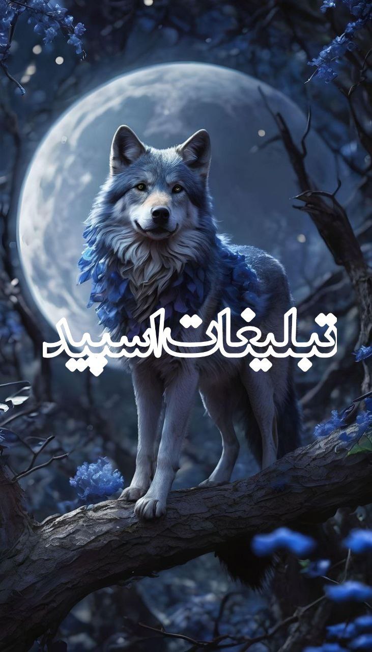 ॐ♥♜♛ کًَلًَبًَهًَ دًَلًَبًَرًَاًَنًَهًَ ♜♚♥ॐ