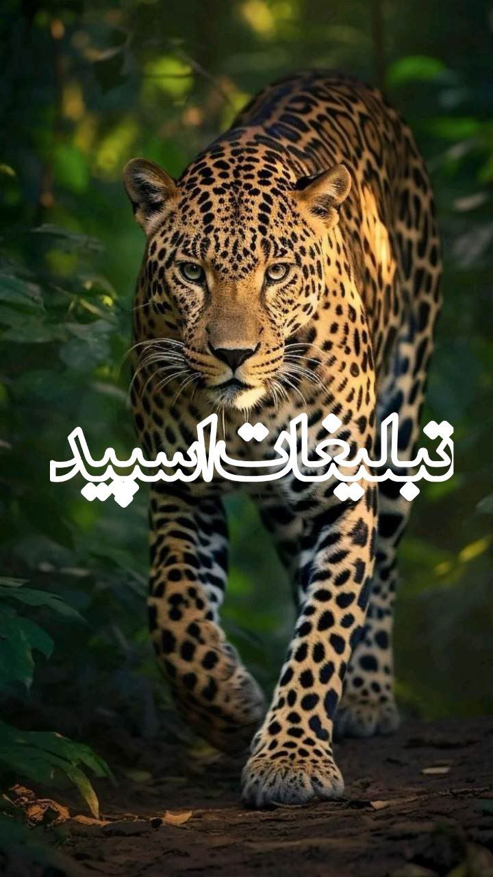 𝓋𝒾𝓅 𝓂𝑒𝒽𝓇𝒹𝒶𝒹 (10)