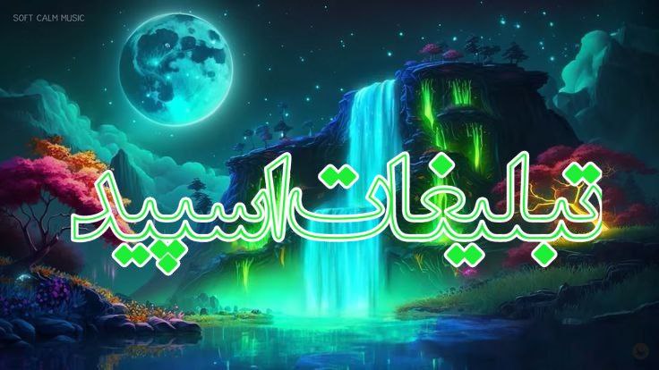 وایلد ولف (77)