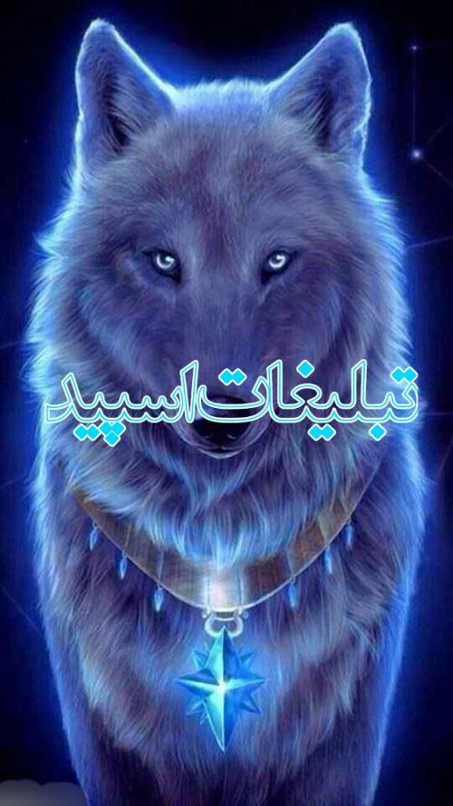 وایلد ولف (319)