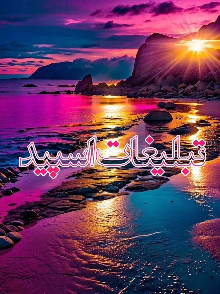 وایلد ولف (24)