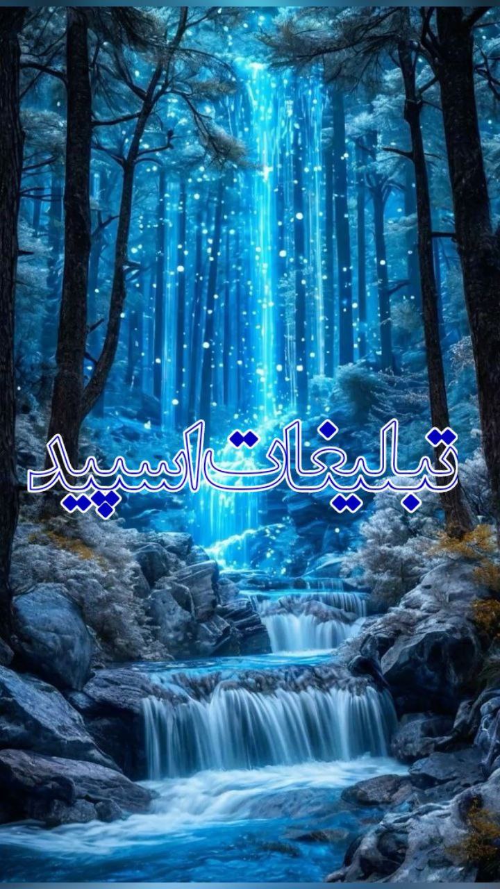 خانواده بزرگ ترک فارسها (1)