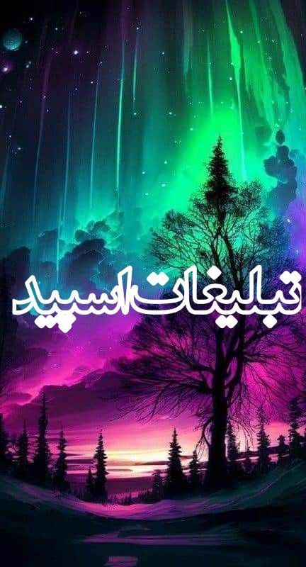 وایلد ولف (217)