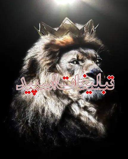 بچه ها ایران