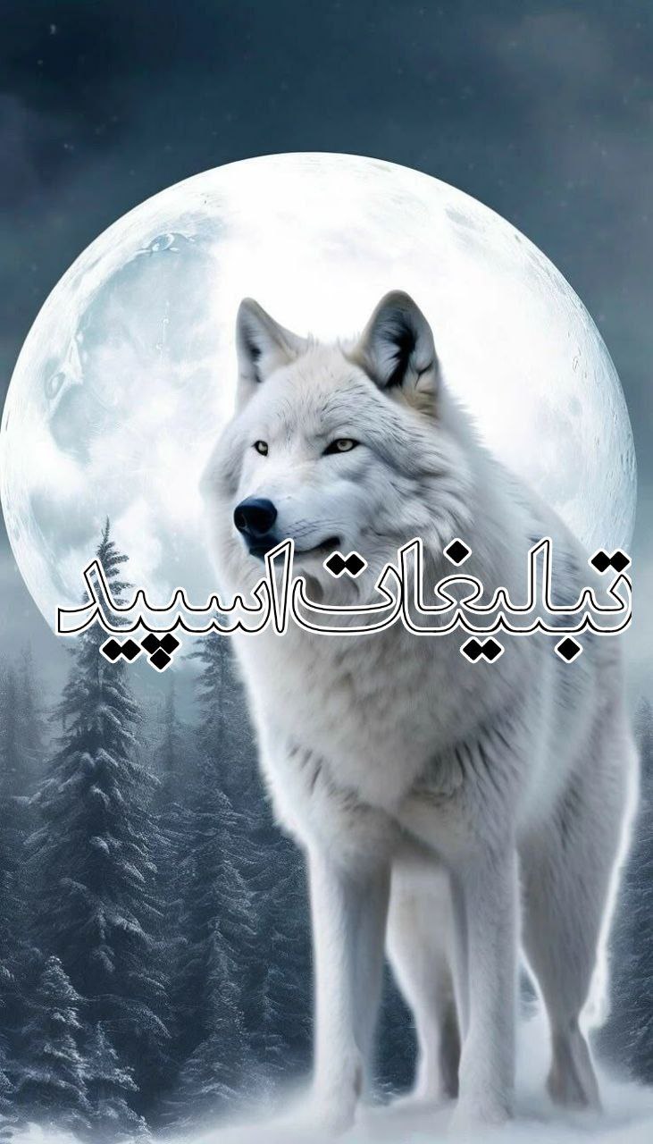 𝐵𝑒𝓈𝓉 𝒻𝓇𝒾𝑒𝓃𝒹𝓈 (17)