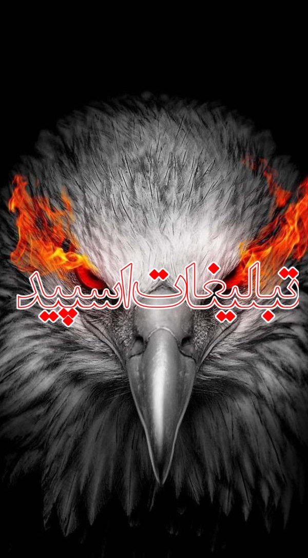 تبلیغات