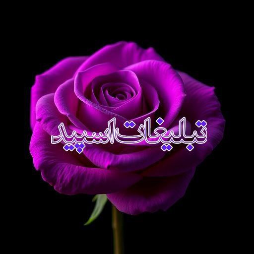 ولف لند (5)