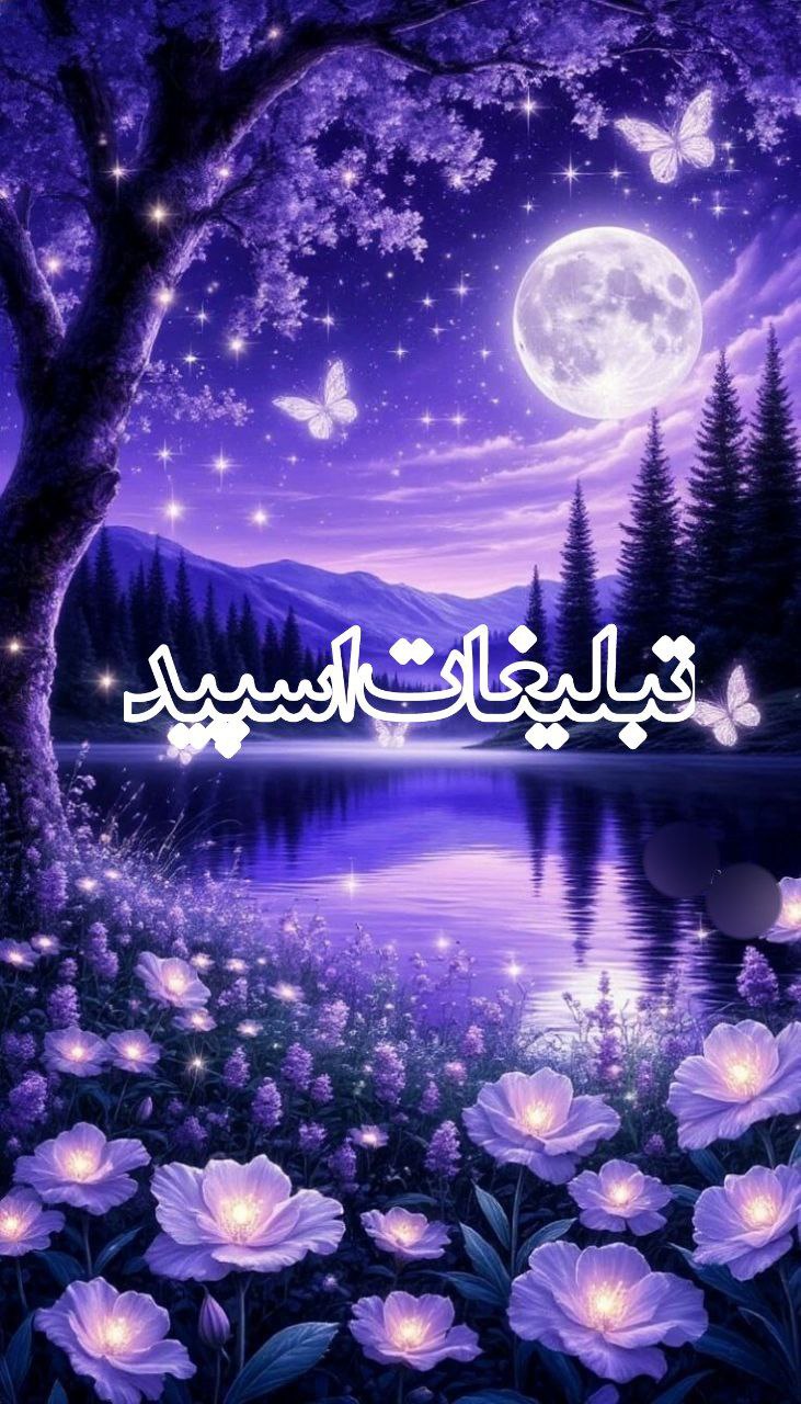 وایلد ولف|WILD WOLF (8)