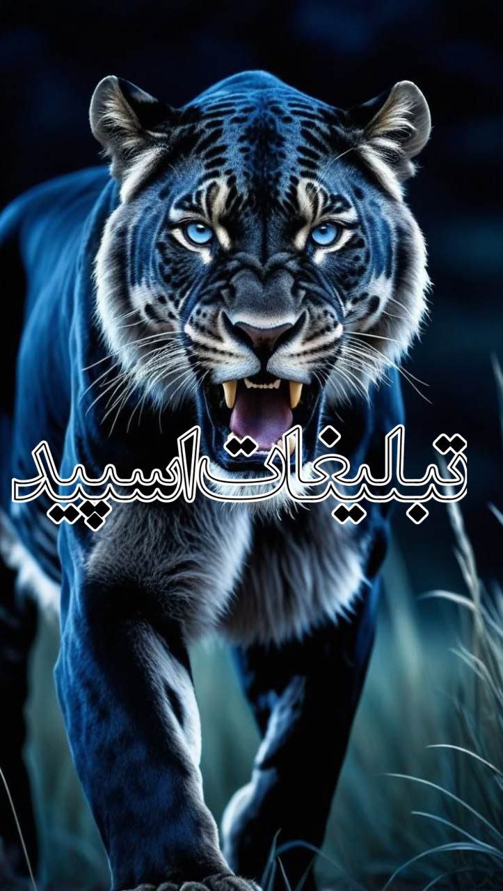تبلیغات
