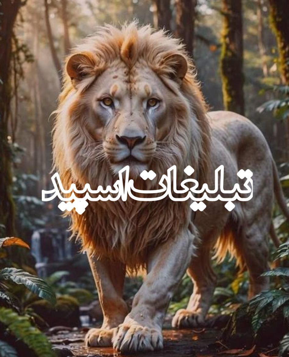 vip mashhad