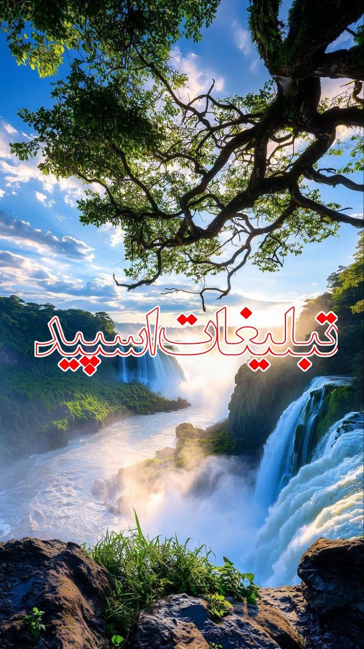 DOREHAMI ROFAGHA 🍷