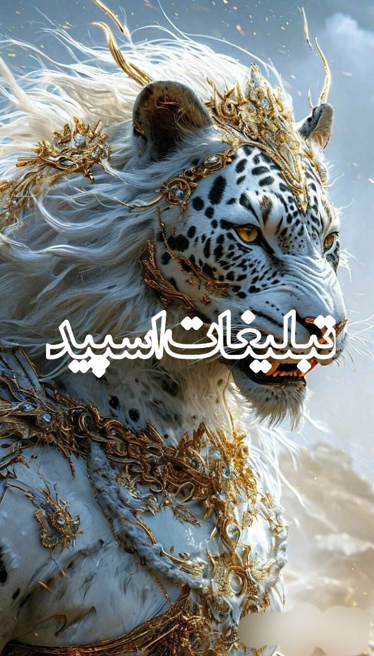 سلطنت رفقا ✨🎀