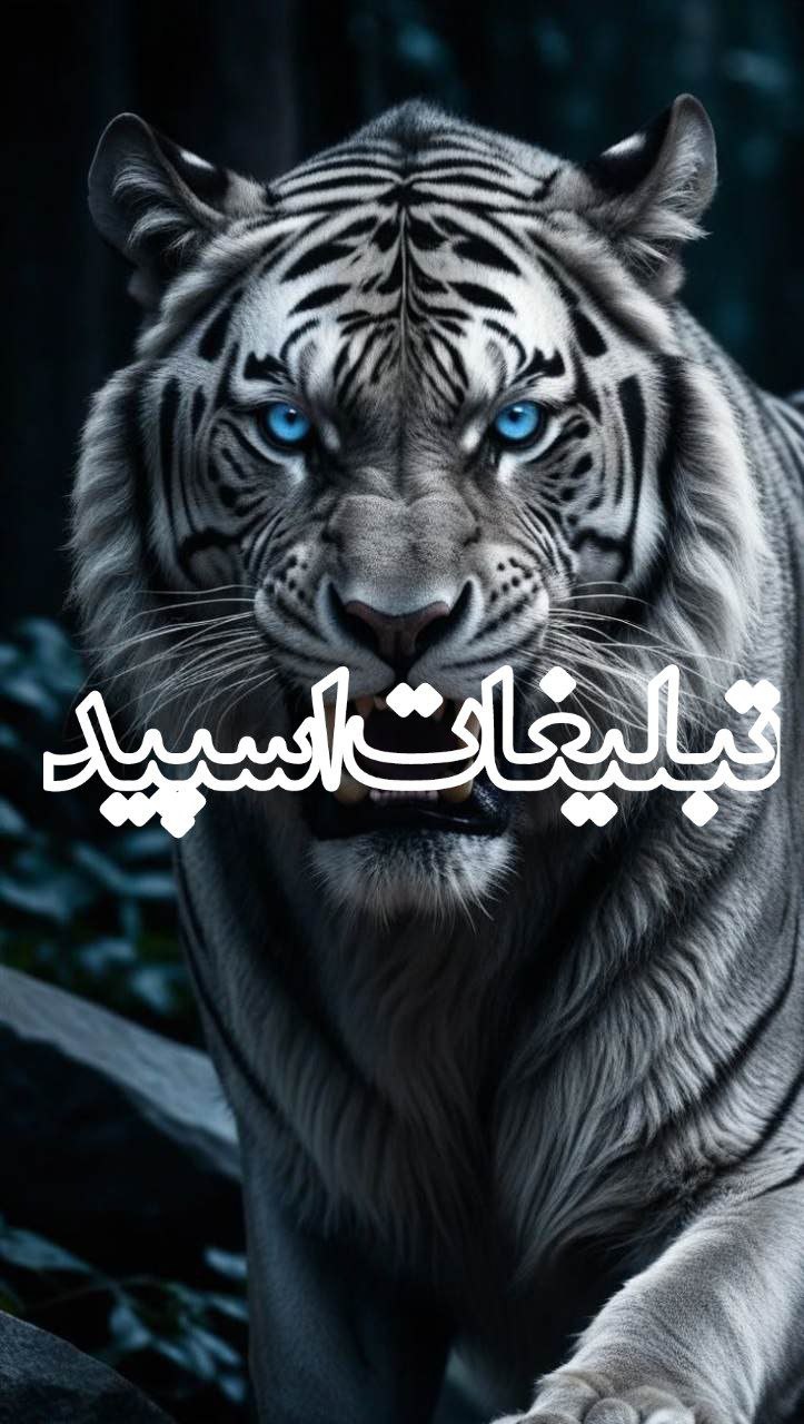 قلب یخی (3)
