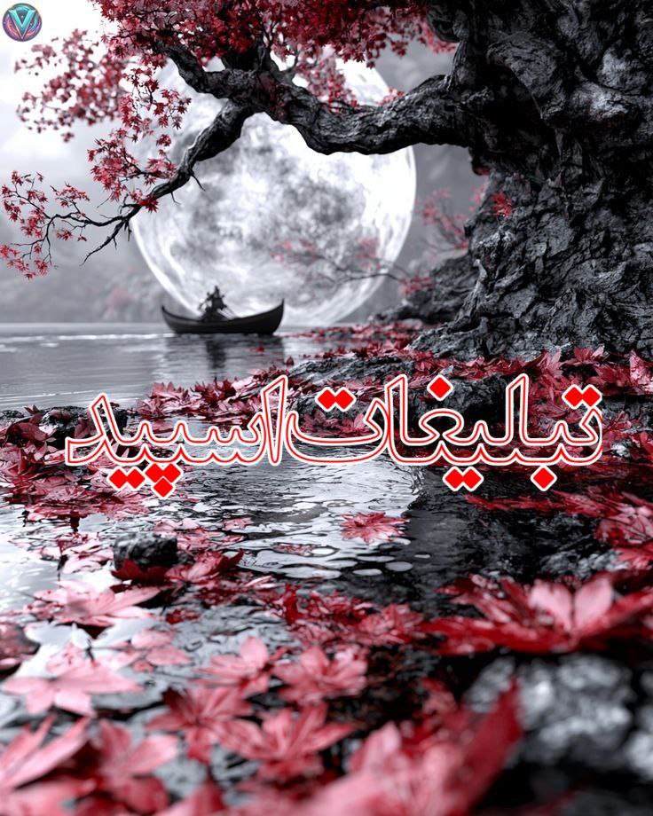 ❦𝑳𝑶𝑽𝑬 ̅̅ل̅̅ـ̅̅ـ̅̅ـاول̅̅ـ̅̅ـ̅̅ـ̅̅ن̅̅ـ̅̅ـ̅̅ـد𝑳𝑨𝑵𝑫❦ (13)