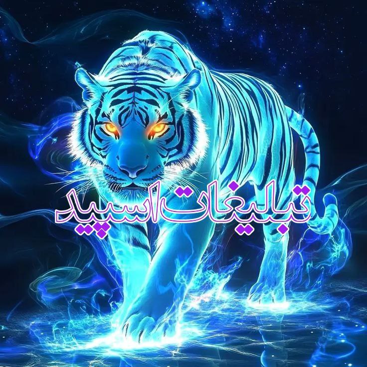 🫀✨Gp. Shabha ye shomal✨🫀 (22)