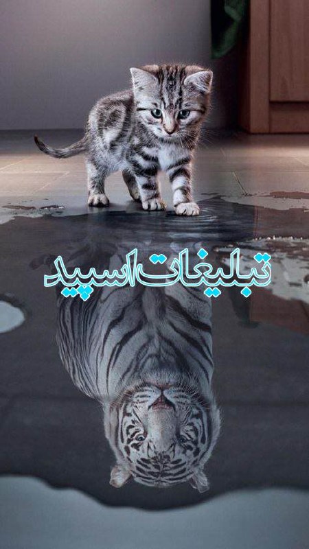 تبلیغات