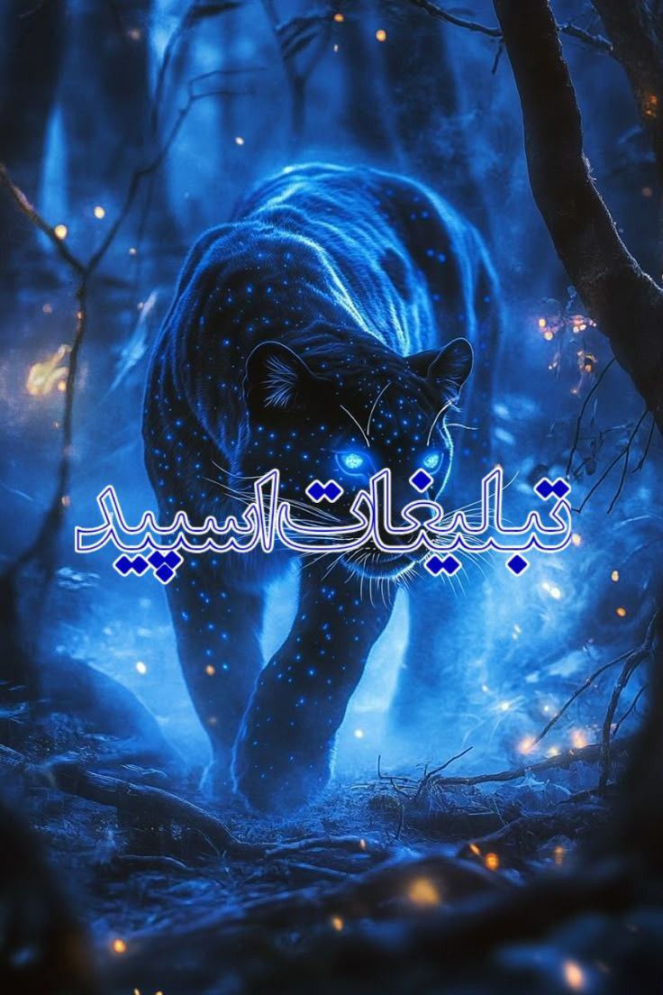 نگاه رویایی (2)