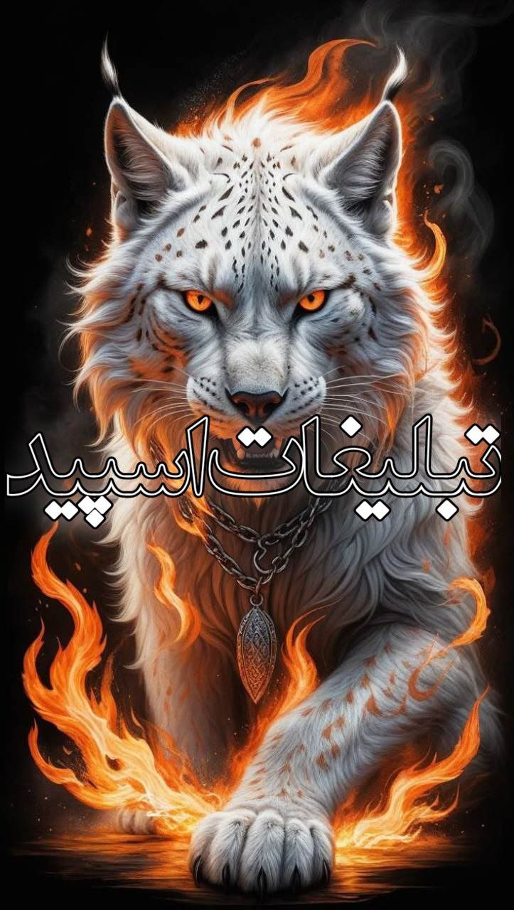 تبلیغات