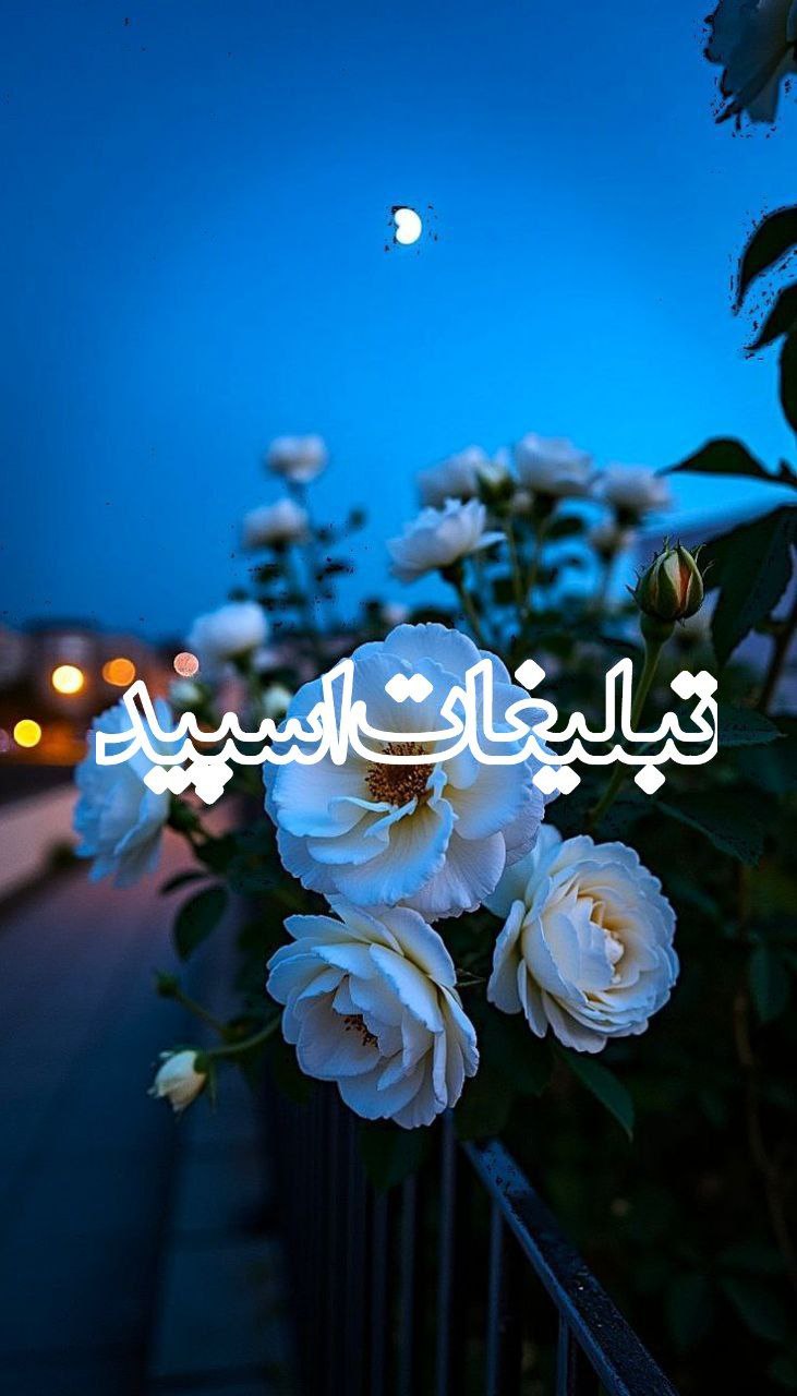 ❤️کلبه مهربونی❤️ (5)