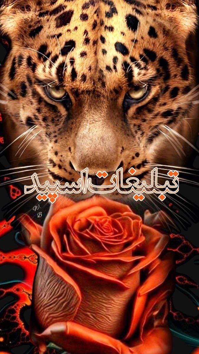 فَــ❁⃭‌ـَرهــ❁⃭ـیخـتگــان 🔱
