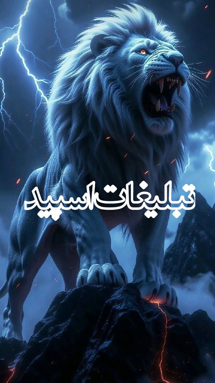 تبلیغات