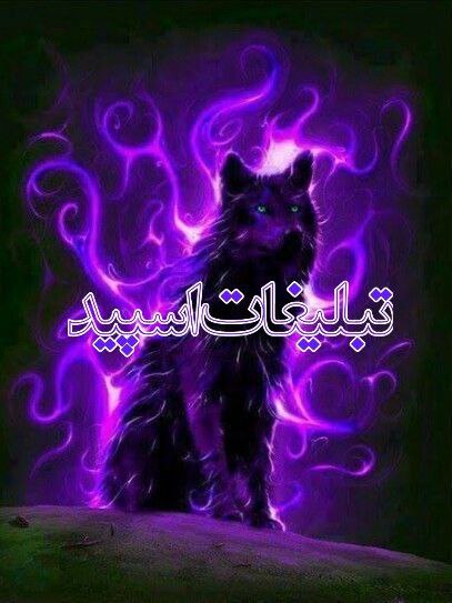 تبلیغات