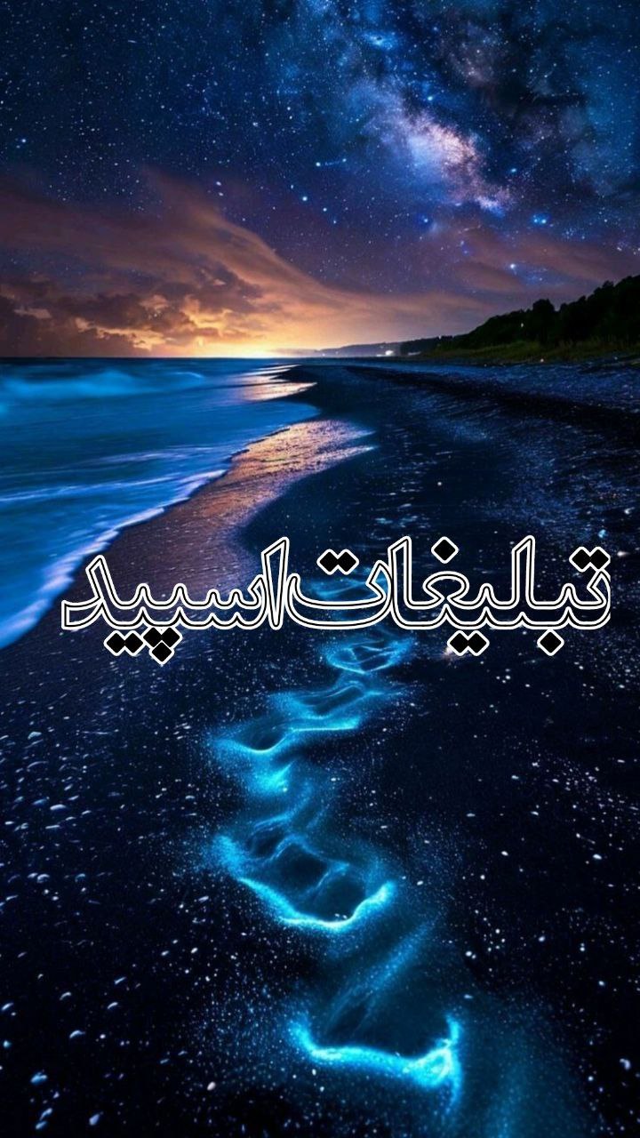 𝑳𝑰𝑽𝑬 𝑵𝑨𝑩 (23)