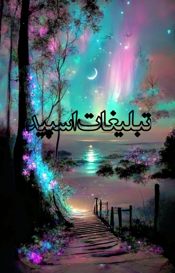 جنوب زیبا