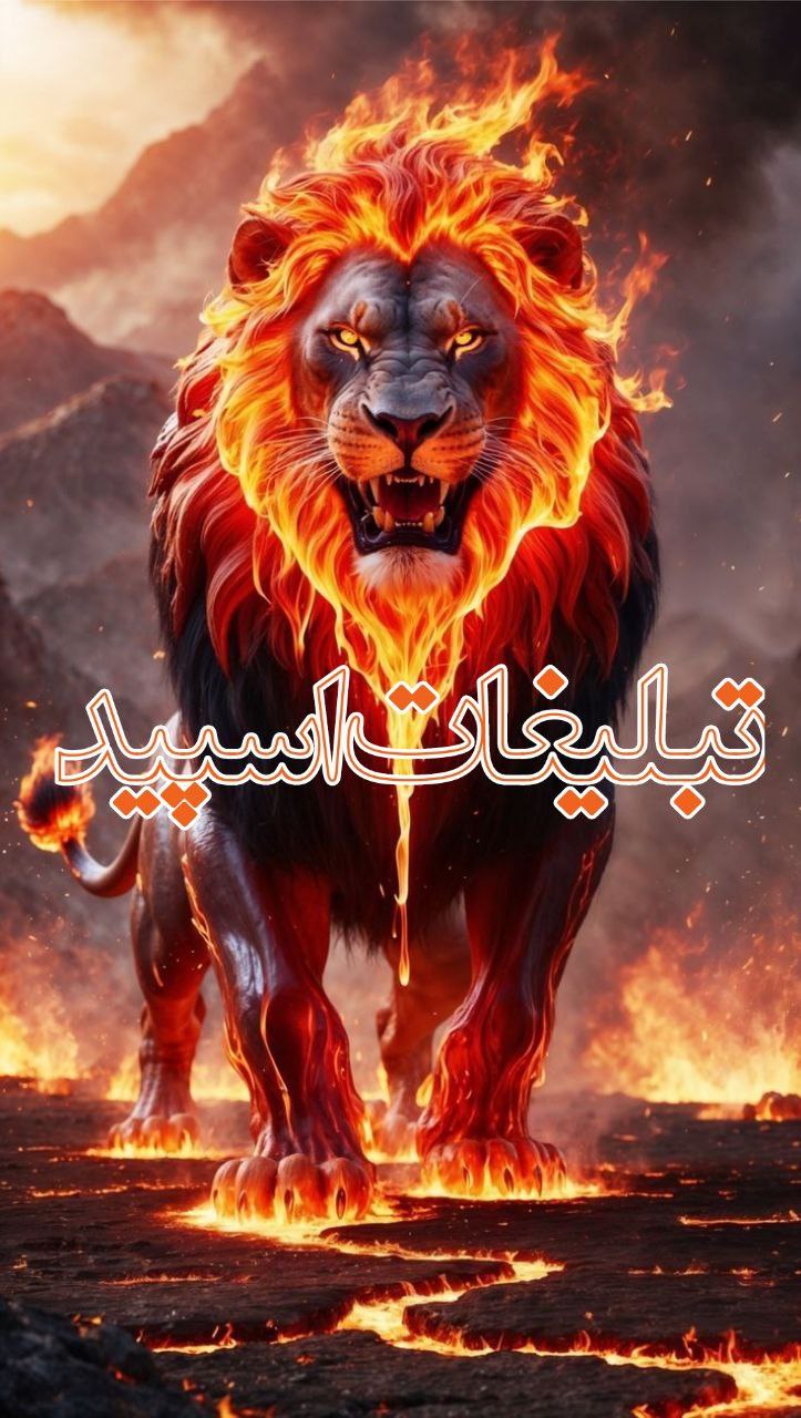 پیج اینستاگرام نگین نجفیان بلاگر و مشاور عروس