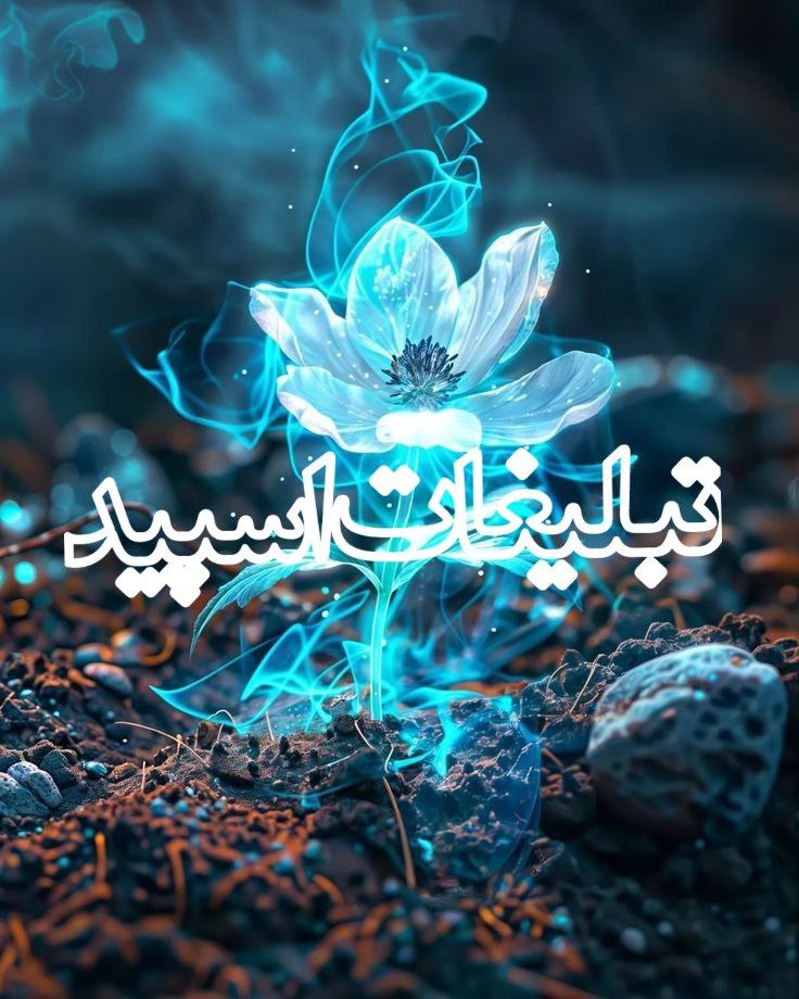 لاکچریا ناب (1)