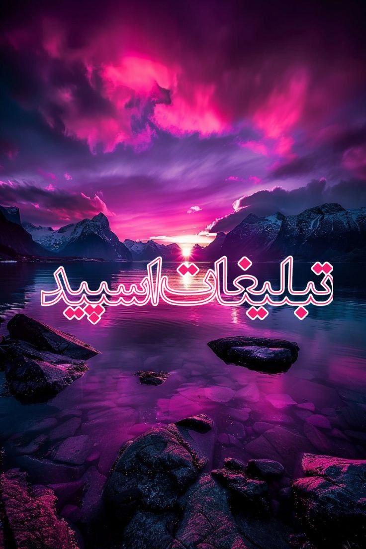 وایلد ولف (275)